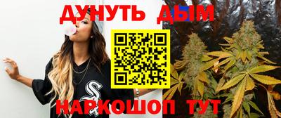 шишки Новодвинск