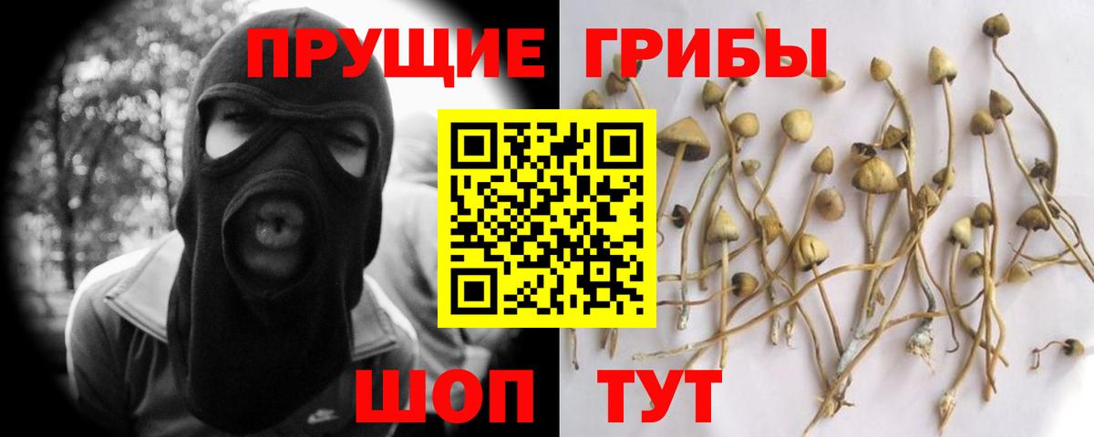 Ханты-Мансийск  Псилоцибиновые грибы мухоморы  Вход с VPN 